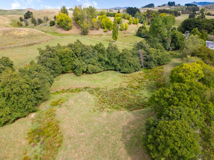 739 Matahiwi Road Masterton_14