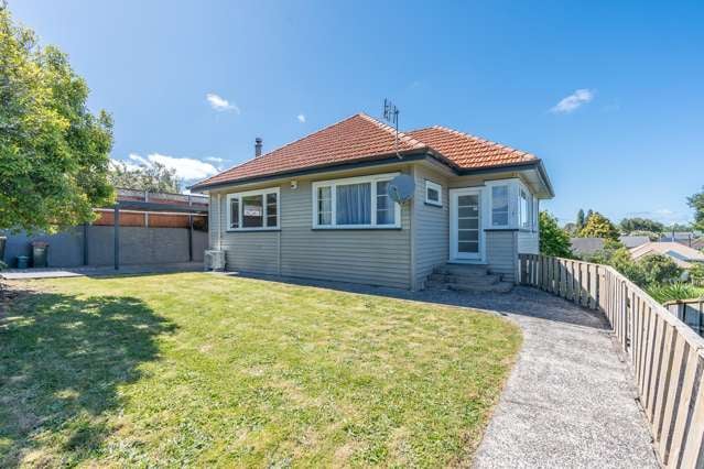 14 Naylor Street Hamilton East_1