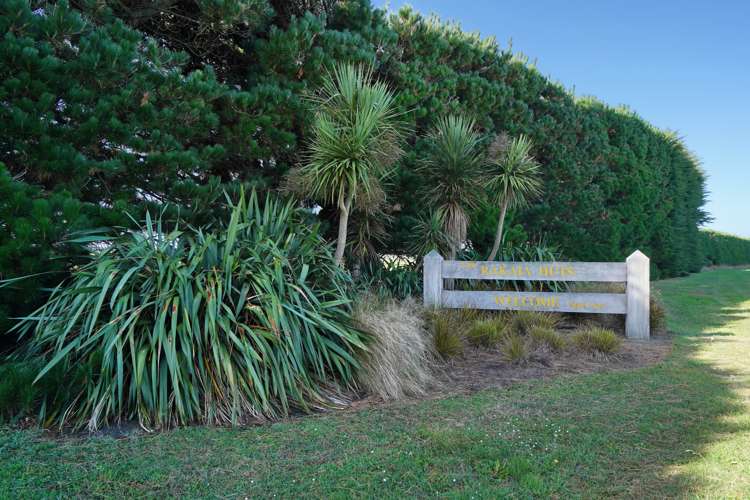 84 Pacific Drive Southbridge_18