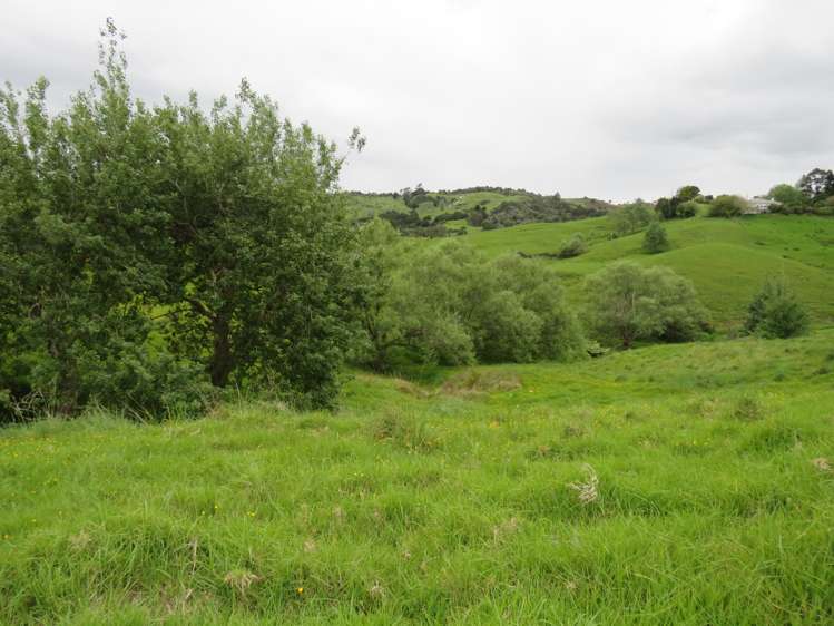 289 Franklin Road Paparoa_15