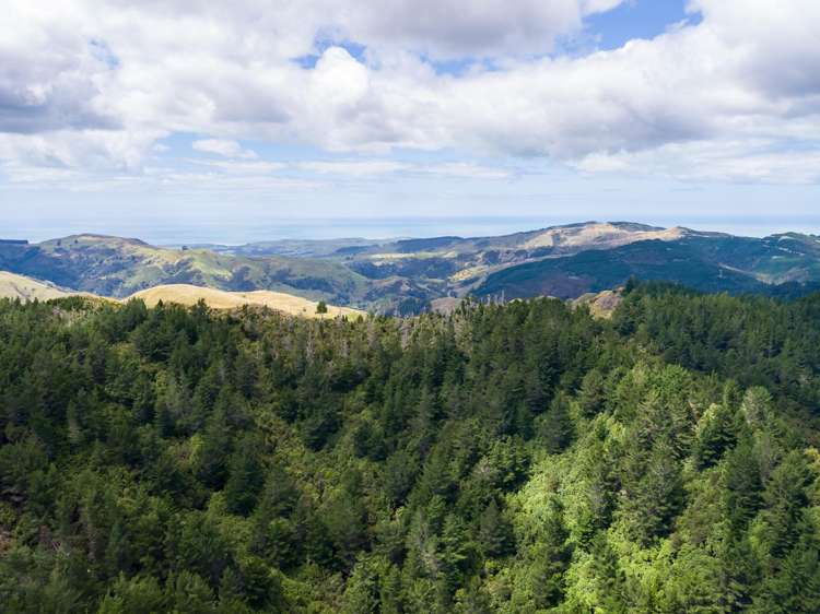 939 Kaiwhata Road Te Wharau_23