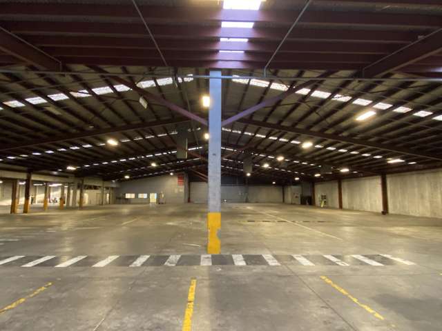 11 Mcdonald Street Morningside_3