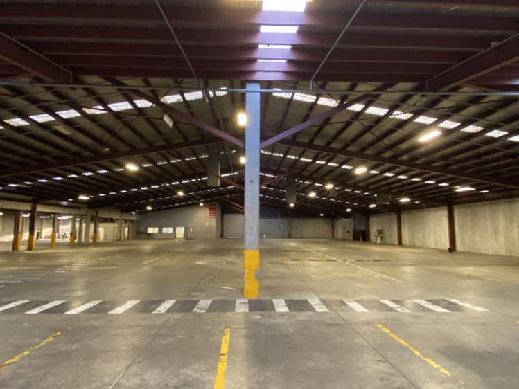 11 Mcdonald Street Morningside_3