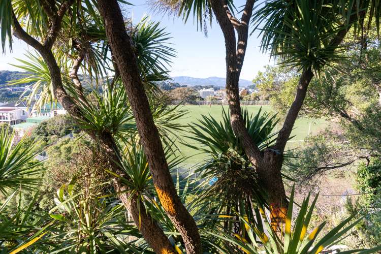 94 Rolleston Street Mount Cook_10