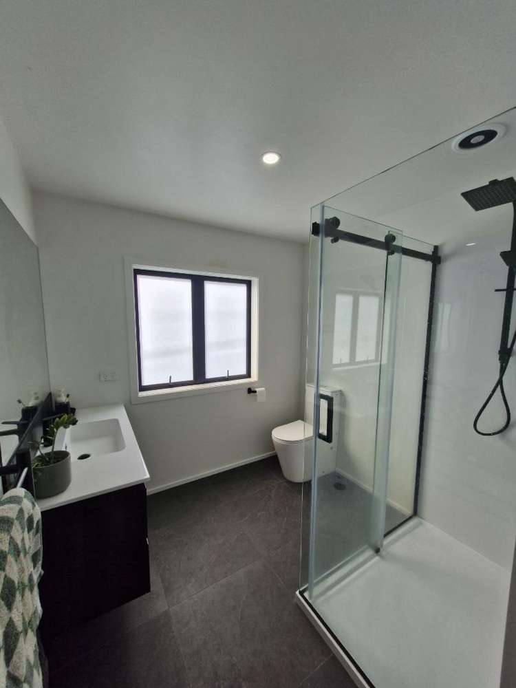 356 Carrington Street Vogeltown_8