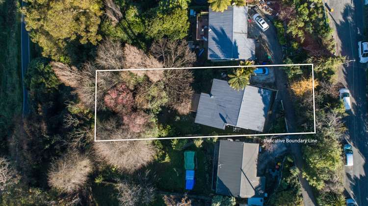 41 Thompson Terrace Toi Toi_15