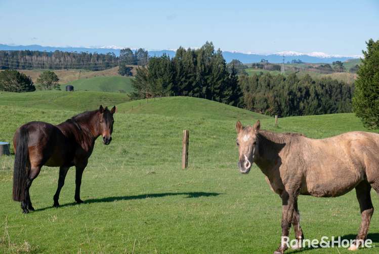 262 Tuhingamata Road Oruanui_10