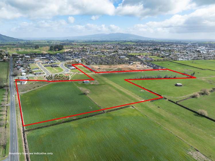 49 Golf Road Te Awamutu_4