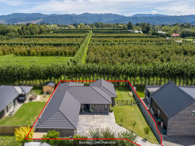 37 Westwood Avenue Greytown_25