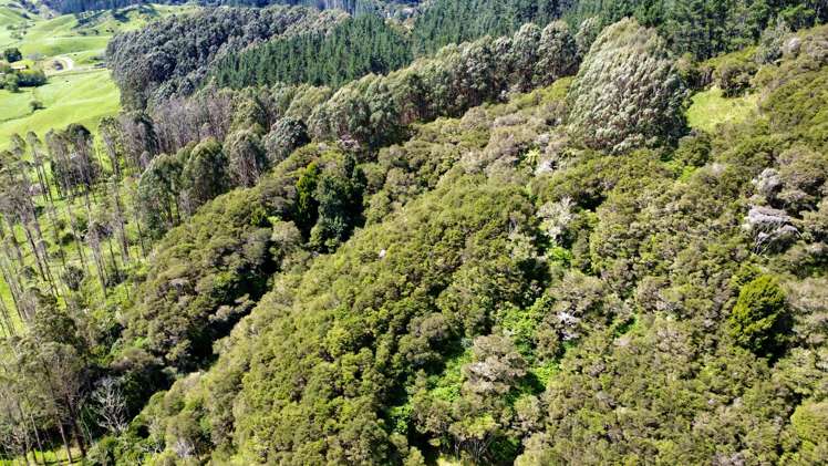 637a Awahou Road Murupara Surrounds_5