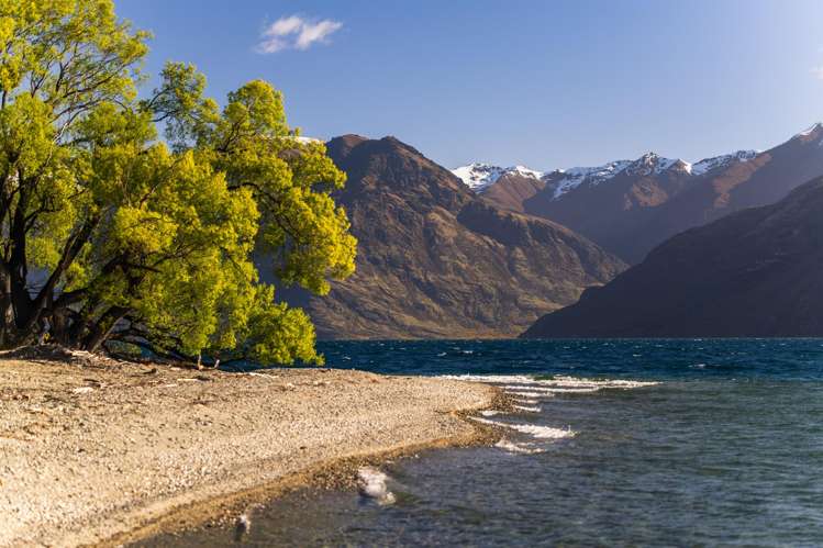 1370 Kingston Road Queenstown_21