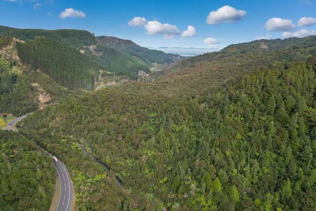 495 Kopu Hikuai SH 25A Thames-coromandel_2