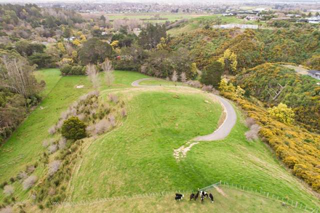 248 Polson Hill Drive Aokautere_1