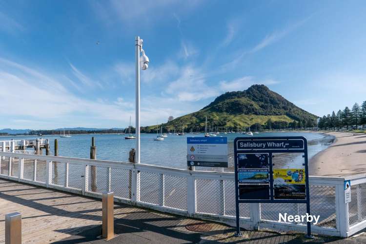 109/277 Maunganui Road Mount Maunganui_20