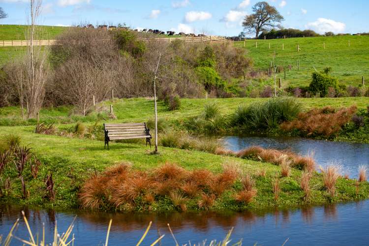 48 Country Lane Matamata_15