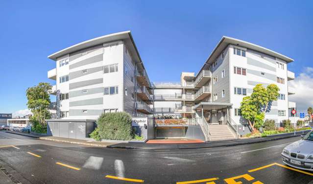 2g/1 Ophir Street Grey Lynn_1