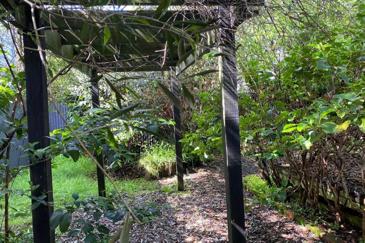 600 Cochrane Street Thames_9