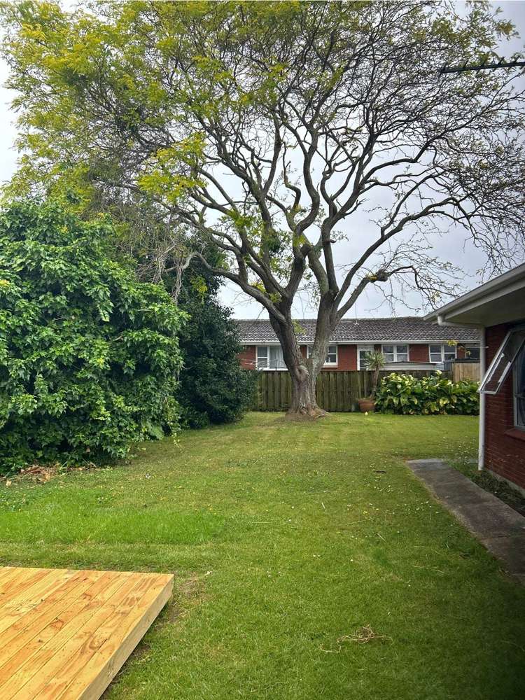 3/17 Latham Avenue Pakuranga_9