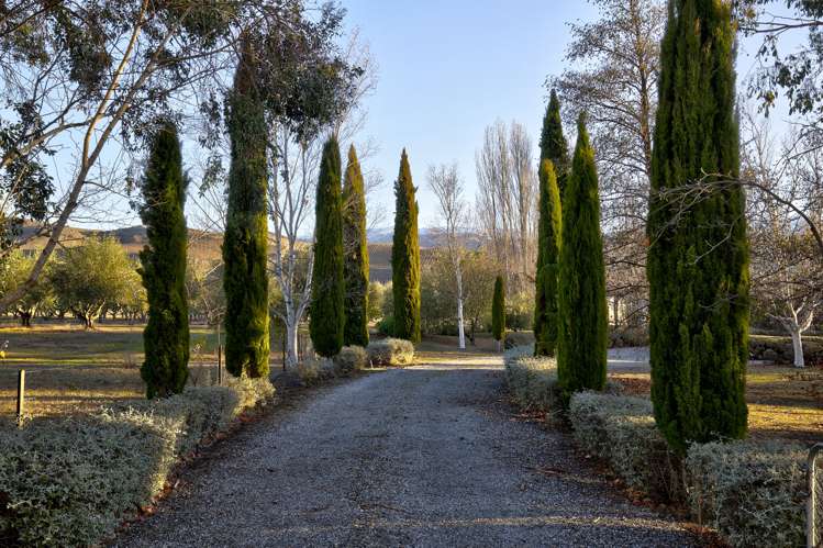 154a Cairnmuir Road Nevis_20