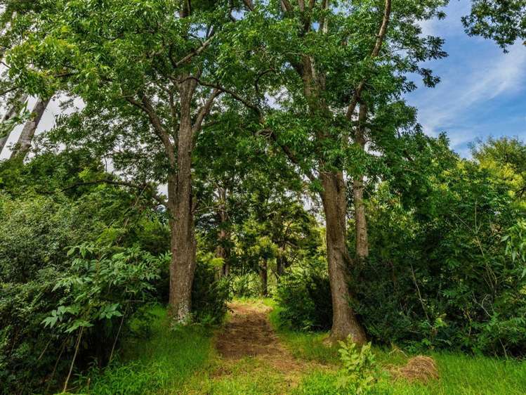 1115A Horeke Road Horeke_21