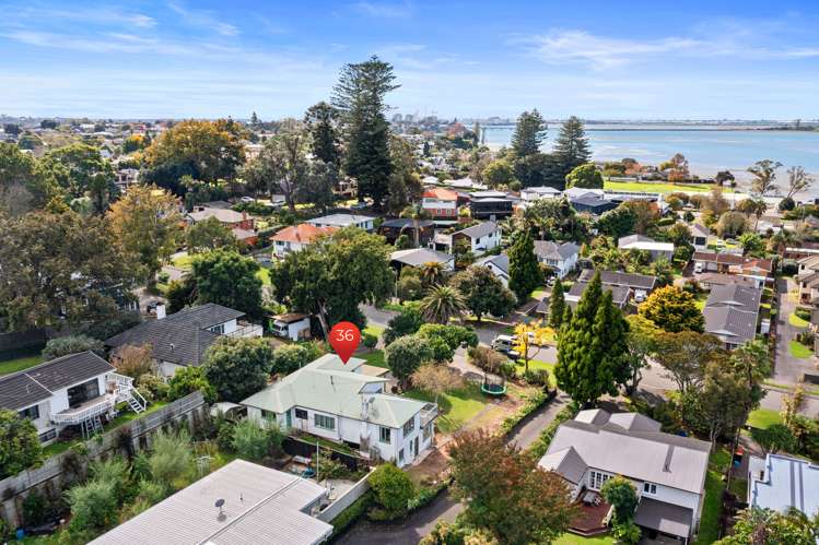 36 Fourteenth Avenue Tauranga South_6