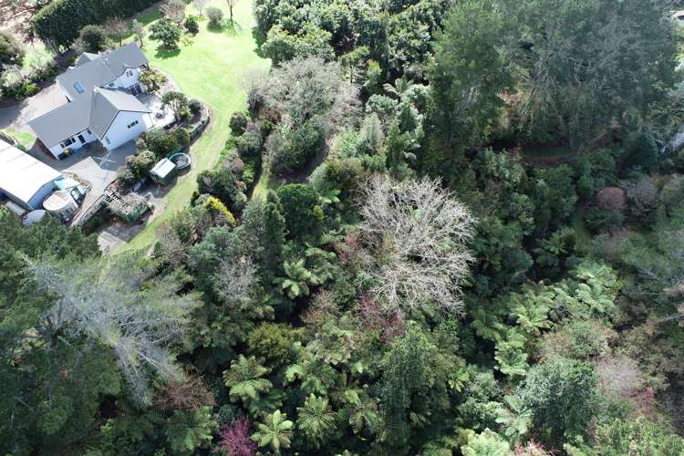 268 Ruahihi Road Omanawa_3