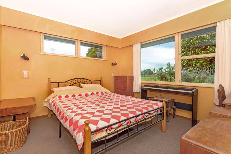 47 Cameron Road Makauri_9