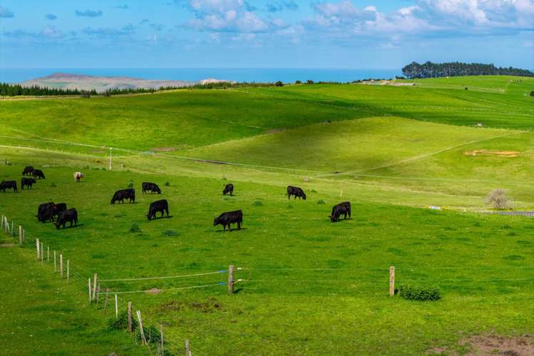 3902 State Highway 12 Dargaville_5