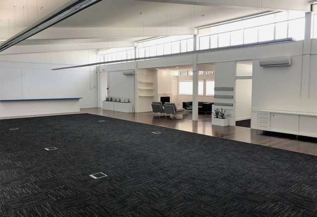 15 Edinburgh Street Newton_3