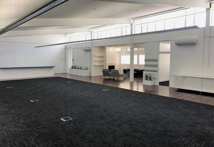 15 Edinburgh Street Newton_3