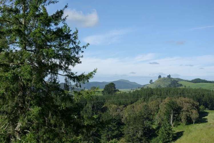 219 Forest Road Oruanui_11