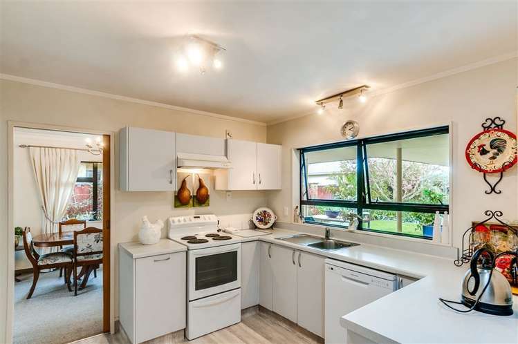 151 Auckland Road Greenmeadows_2