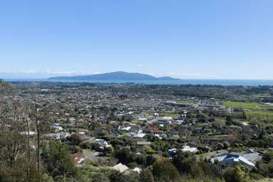 32 Wilson Way_2