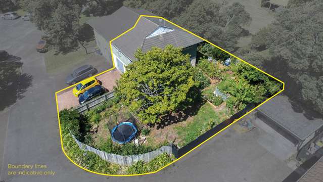 1/49 Seabrook Avenue New Lynn_1