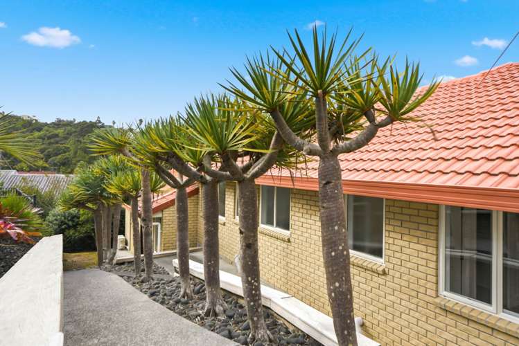 43 Kate Sheppard Avenue Torbay_34