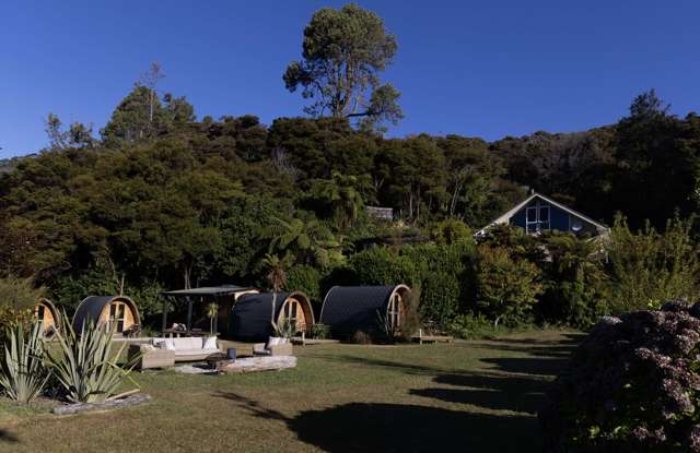 49 Awaroa Inlet Awaroa_3