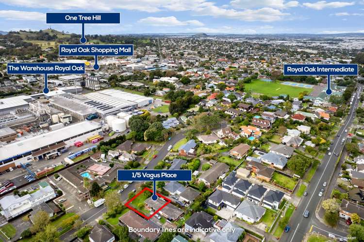 1/5 Vagus Place Royal Oak_13