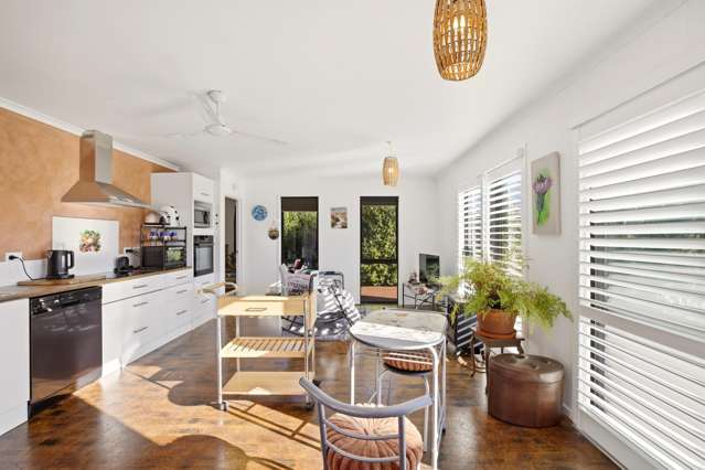 38 Princes Street Waikari_4