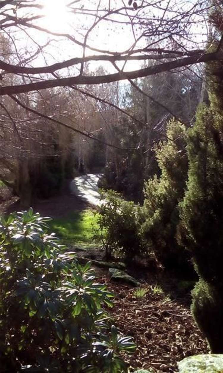 25 Dolamore Park Road Gore Surrounds_22