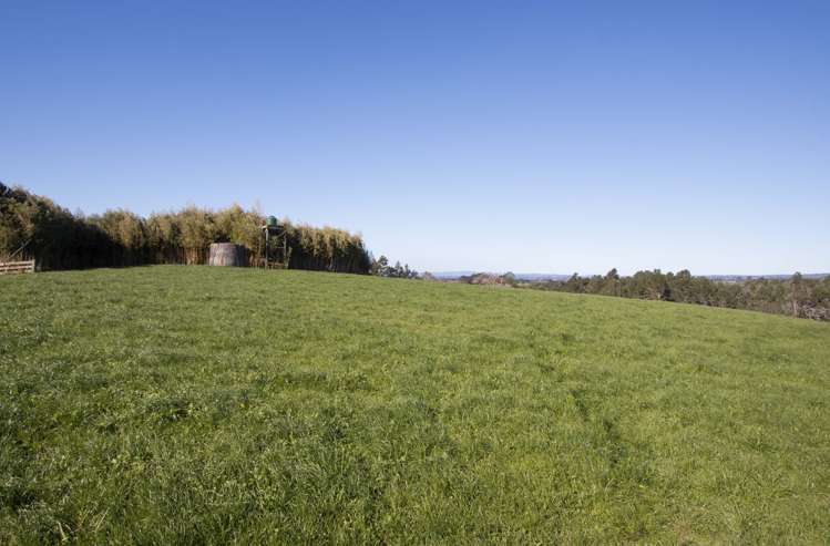 291 Rea Road Hauraki Surrounds_3