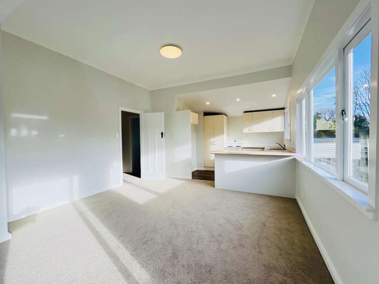 1297 Rings Road Coromandel_8