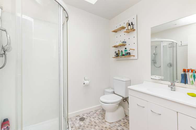 33 Little George Street Thorndon_13