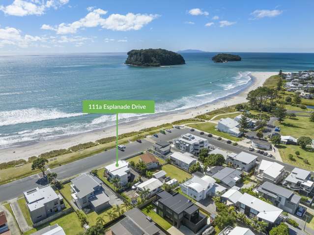 111a Esplanade Drive Whangamata_1