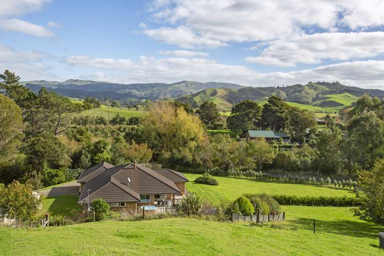 1068a Old Mountain Road Raglan_45