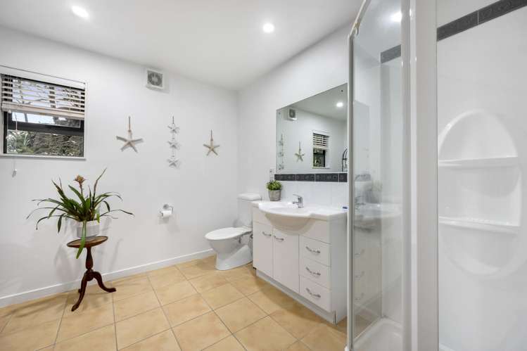 203 Muritai Road Eastbourne_19