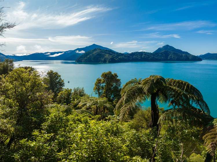 Lot 11 Whatanihi Bay Pelorus Sound_5