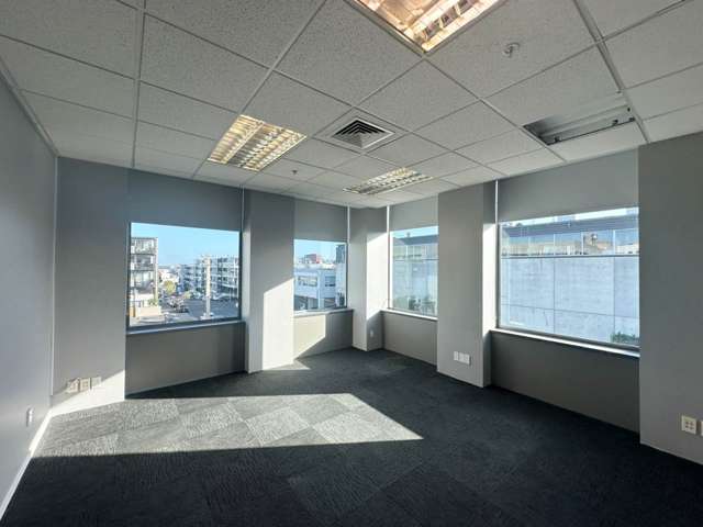 18 Normanby Road Mt Eden_3