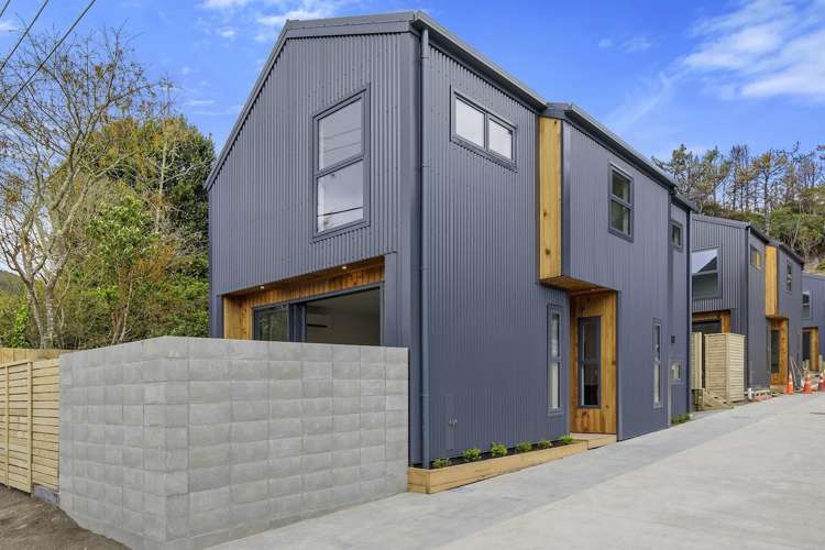 Unit 1/33 Raukawa Street_0