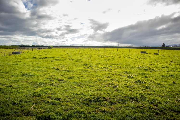 253 Tawhiti Road Hawera_16