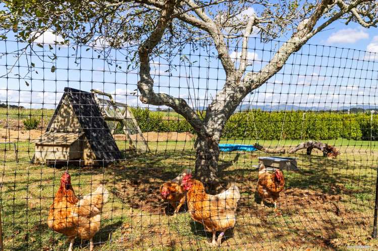 1541 Waiuku Road Waiuku_24